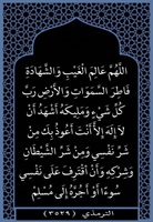 ١١- فاطرالسماوات